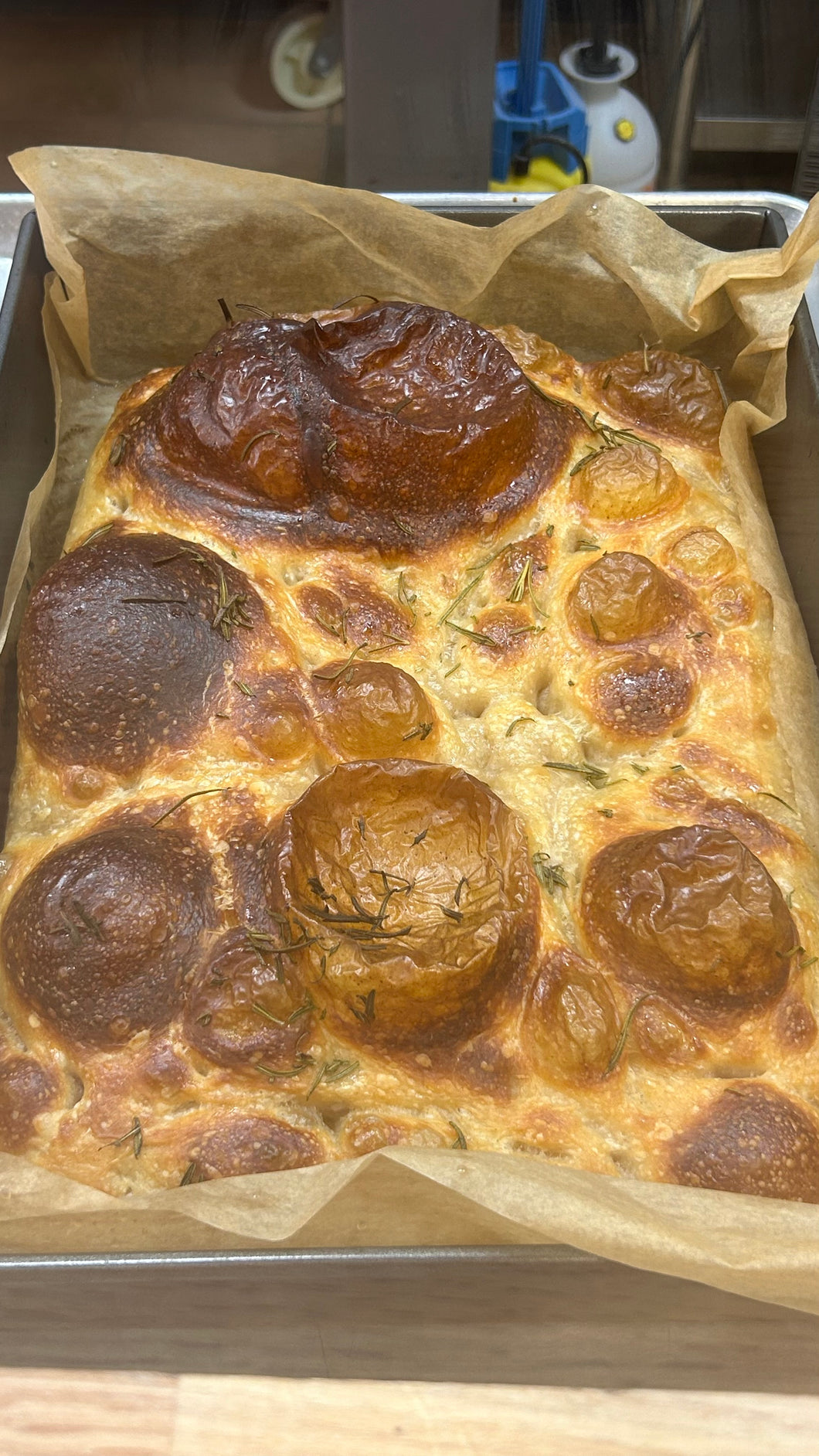 Holiday sourdough focaccia 9 inch size