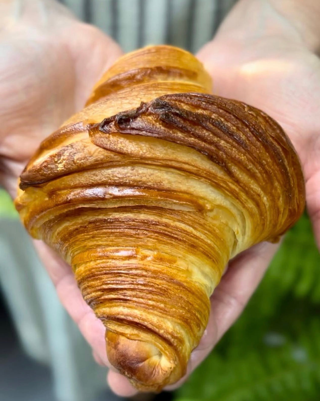 Artisan Croissant