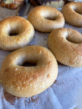 Load image into Gallery viewer, Bagel
