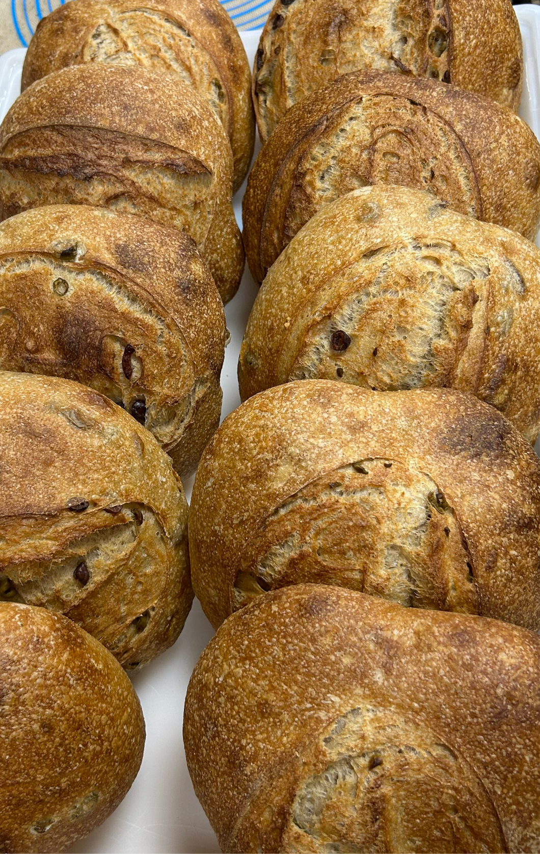 Organic Olives & Herbs Sourdough Bread